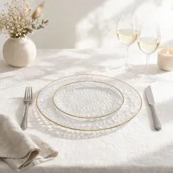 Lot de 16 Assiettes Réutilisables Transparentes Bord Doré