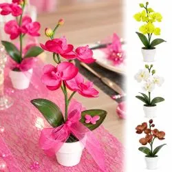 Orchidée déco de table