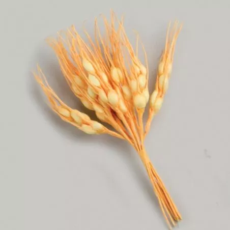 Epi de blé naturel X10